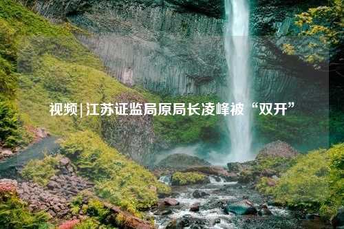 视频|江苏证监局原局长凌峰被“双开”