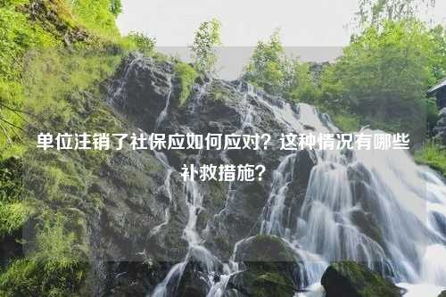 单位注销了社保应如何应对？这种情况有哪些补救措施？