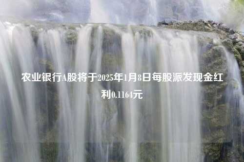 农业银行A股将于2025年1月8日每股派发现金红利0.1164元