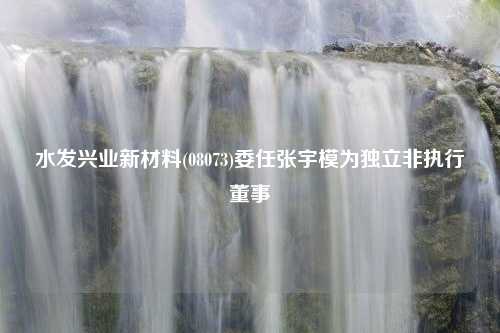 水发兴业新材料(08073)委任张宇模为独立非执行董事