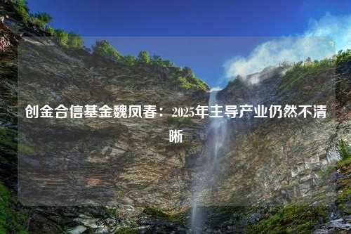 创金合信基金魏凤春：2025年主导产业仍然不清晰