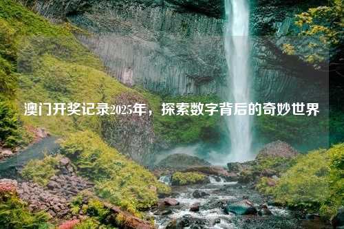 澳门开奖记录2025年，探索数字背后的奇妙世界