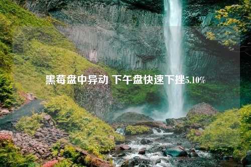 黑莓盘中异动 下午盘快速下挫5.10%