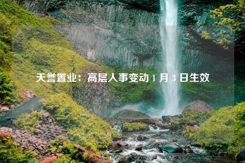 天誉置业：高层人事变动 1 月 3 日生效