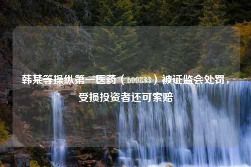 韩某等操纵第一医药（600833）被证监会处罚，受损投资者还可索赔